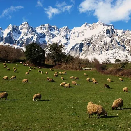 Con Piscina Lebanes Picos De Europa